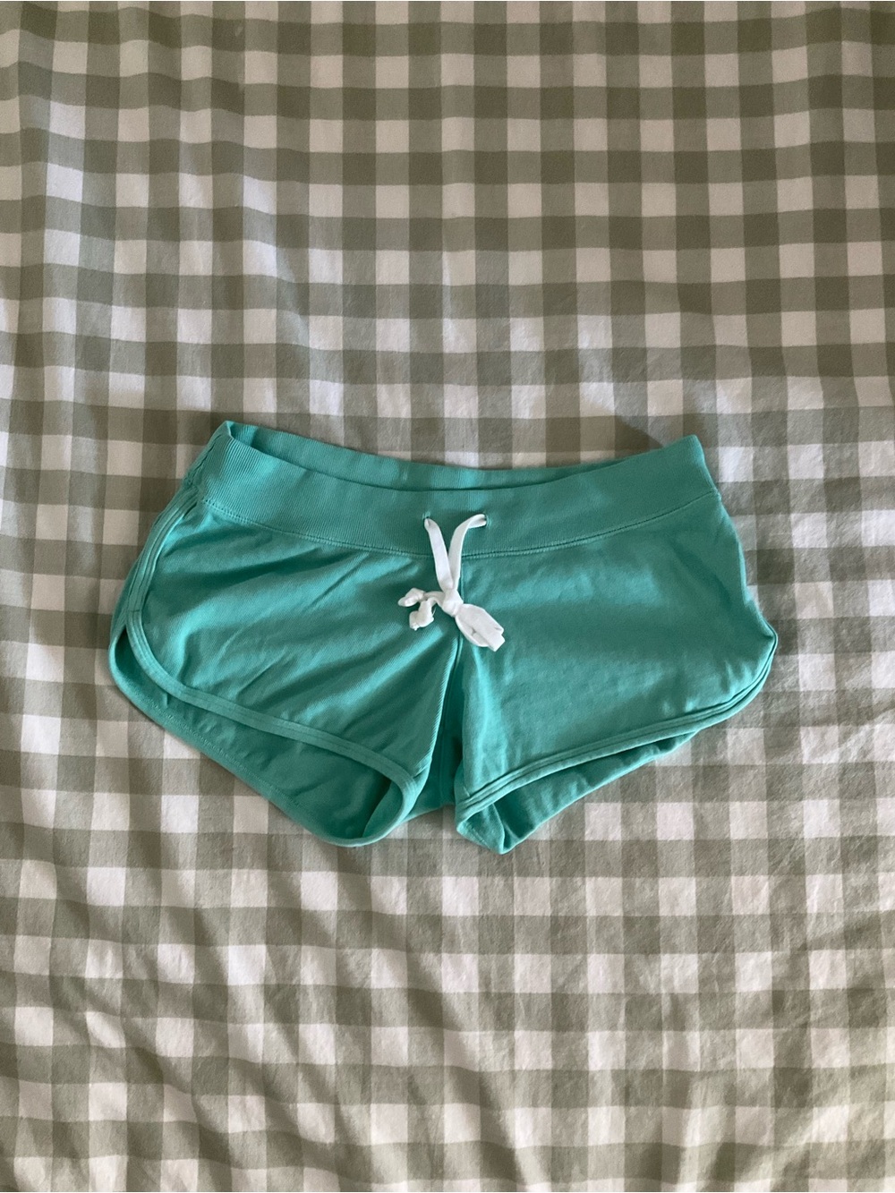 Brandy Melville Teal Marcie Shorts
